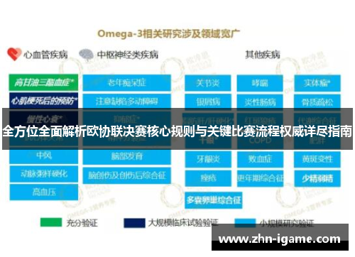 全方位全面解析欧协联决赛核心规则与关键比赛流程权威详尽指南