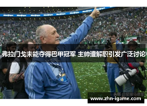 弗拉门戈未能夺得巴甲冠军 主帅遭解职引发广泛讨论